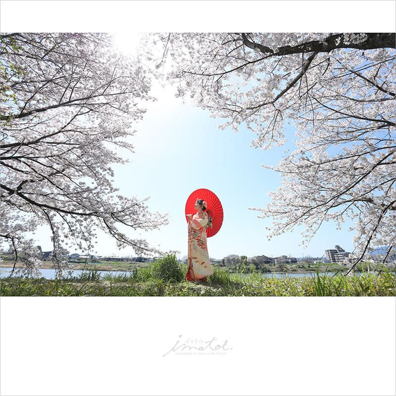 京都の成人式前撮り撮影