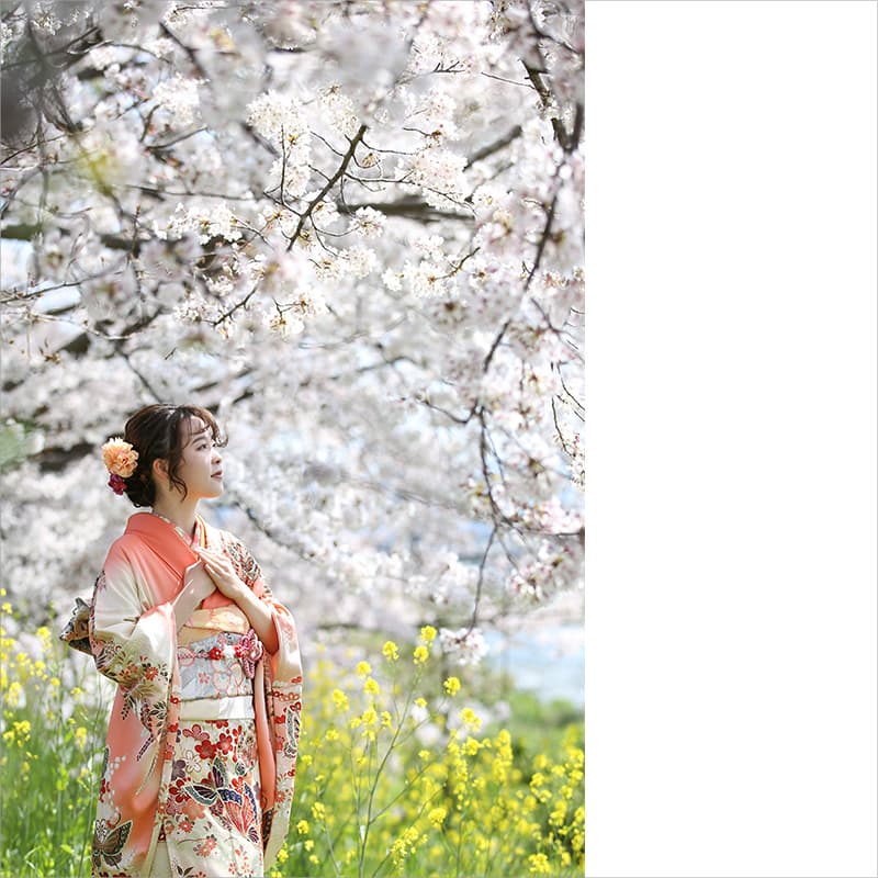 京都で成人式の前撮り撮影