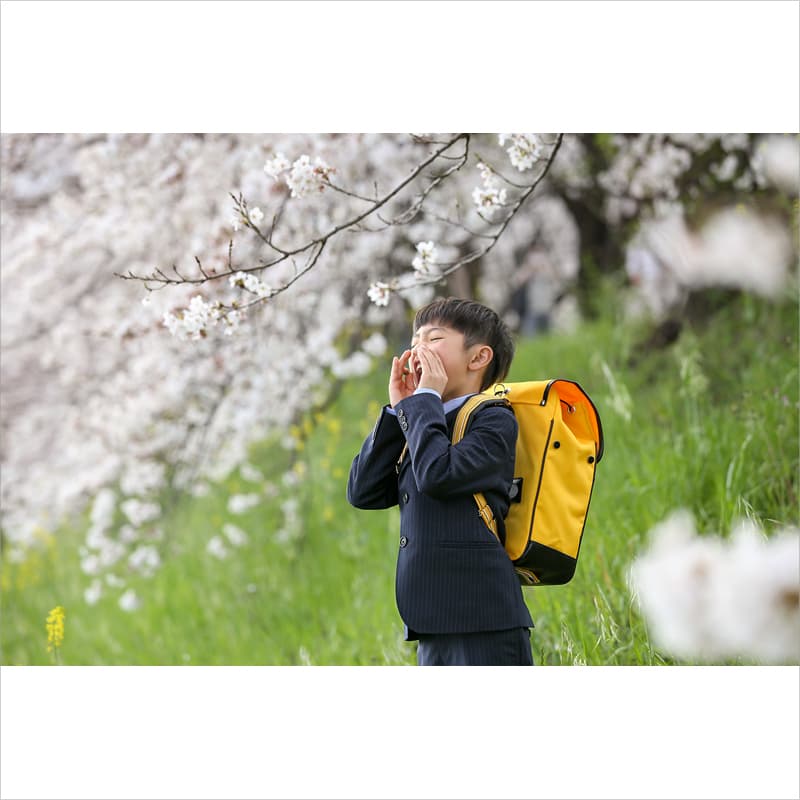 桜で入学記念のロケーション撮影