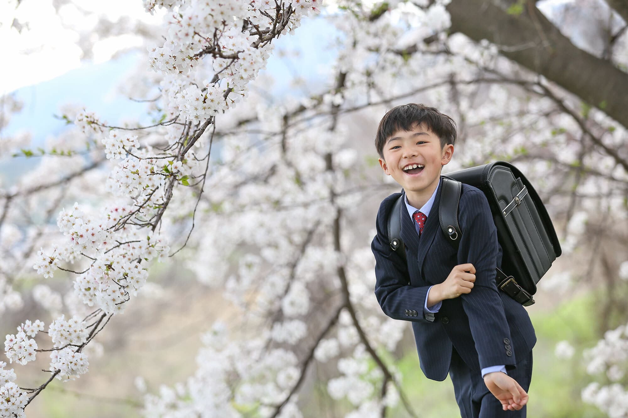 桜で入学記念のロケーション撮影